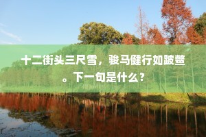 十二街头三尺雪，骏马健行如跛鳖。下一句是什么？