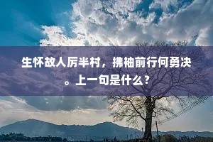 生怀故人厉半村，拂袖前行何勇决。上一句是什么？