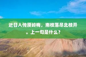 近日人传庾岭梅，南枝落尽北枝开。上一句是什么？