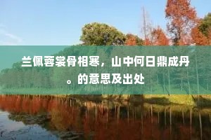 兰佩蓉裳骨相寒，山中何日鼎成丹。的意思及出处