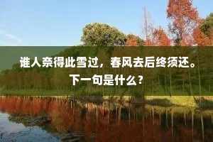 谁人奈得此雪过，春风去后终须还。下一句是什么？