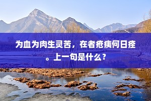 为血为肉生灵苦，在者疮痍何日痊。上一句是什么？