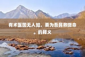 有术医国无人知，要为吾民救微命。的释义