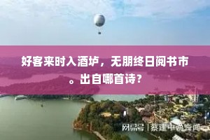 好客来时入酒垆，无朋终日阅书市。出自哪首诗？