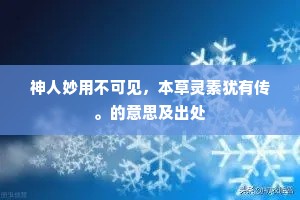 神人妙用不可见，本草灵素犹有传。的意思及出处