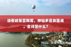 请看岐叟至陶葛，神仙多是良医成。全诗是什么？