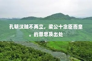 孔明汉贼不两立，梁公十念臣而皇。的意思及出处