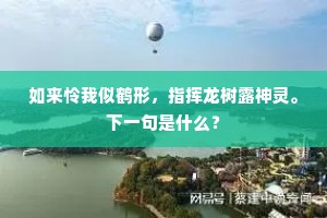 如来怜我似鹤形，指挥龙树露神灵。下一句是什么？