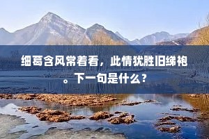 细葛含风常着看，此情犹胜旧绨袍。下一句是什么？