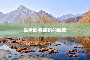 举世闻名成语的解释