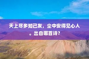 天上尽多知己友，尘中安得见心人。出自哪首诗？