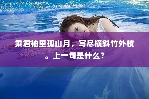 乘君袖里孤山月，写尽横斜竹外枝。上一句是什么？
