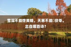 雪深不能馋黄精，天寒不能斸茯苓。出自哪首诗？
