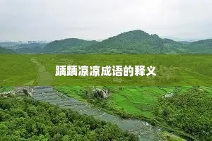 踽踽凉凉成语的释义