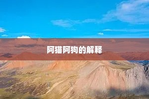 阿猫阿狗的解释