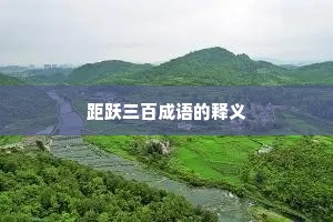 距跃三百成语的释义