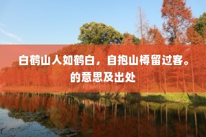 白鹤山人如鹤白，自抱山樽留过客。的意思及出处