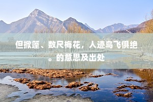 但掀篷、数尺梅花，人迹鸟飞俱绝。的意思及出处