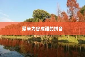 聚米为谷成语的拼音