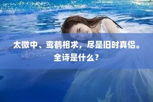 太微中、鸾鹤相求，尽是旧时真侣。全诗是什么？