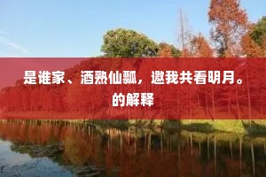 是谁家、酒熟仙瓢，邀我共看明月。的解释
