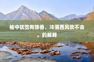 袖中犹觉有馀香，冷落西风吹不去。的解释