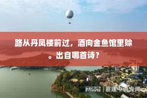路从丹凤楼前过，酒向金鱼馆里赊。出自哪首诗？