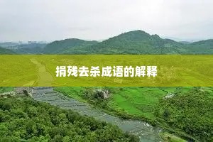 捐残去杀成语的解释