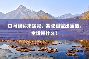 白马锦鞯来窈窕，紫驼银瓮出蒲萄。全诗是什么？