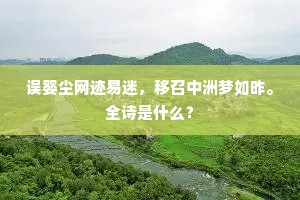 误婴尘网迹易迷，移召中洲梦如昨。全诗是什么？