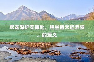 双龙深护安禅处，绕坐诸天近紫微。的释义