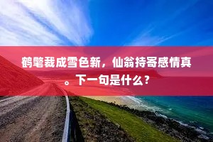 鹤氅裁成雪色新，仙翁持寄感情真。下一句是什么？