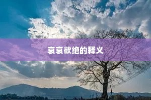 哀哀欲绝的释义
