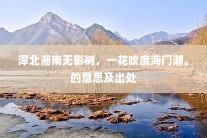 潭北湘南无影树，一花吹度海门潮。的意思及出处