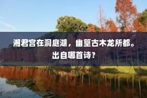 湘君宫在洞庭湖，幽篁古木龙所都。出自哪首诗？