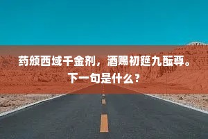 药颁西域千金剂，酒赐初筵九酝尊。下一句是什么？