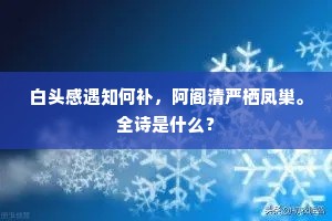 白头感遇知何补，阿阁清严栖凤巢。全诗是什么？