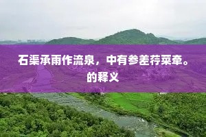石渠承雨作流泉，中有参差荇菜牵。的释义