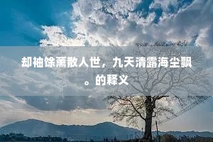 却袖馀薰散人世，九天清露海尘飘。的释义