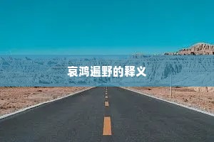 哀鸿遍野的释义