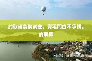 约取巢翁携鹤去，鬓毛同白不争妍。的解释