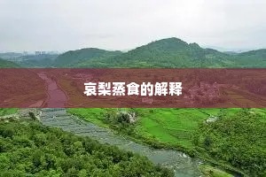 哀梨蒸食的解释