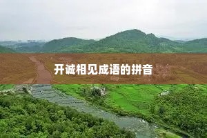 开诚相见成语的拼音