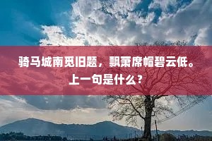 骑马城南觅旧题，飘萧席帽碧云低。上一句是什么？