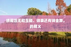 绣阁岂无和玉髓，锦囊还有铸金蹄。的释义
