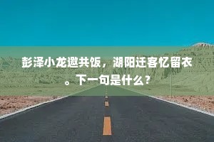彭泽小龙邀共饭，湖阳迁客忆留衣。下一句是什么？