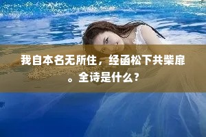 我自本名无所住，经函松下共柴扉。全诗是什么？