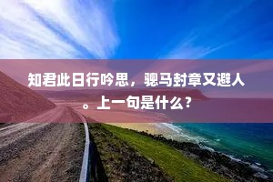 知君此日行吟思，骢马封章又避人。上一句是什么？
