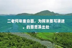 二老何年重会面，为挥浓墨写凄迷。的意思及出处