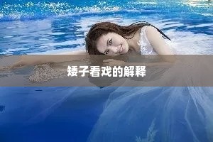 矮子看戏的解释